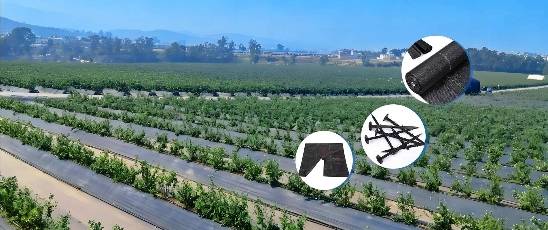 China Weed Barrier Fabric Manufacturer