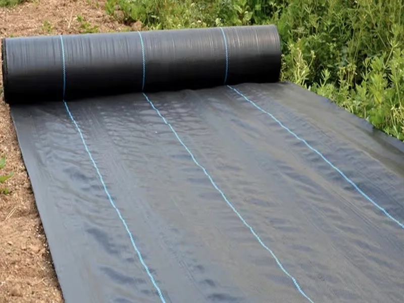 Tongfu Eco-Materials Launches High-Performance Biodegradable Weed Barrier Fabric