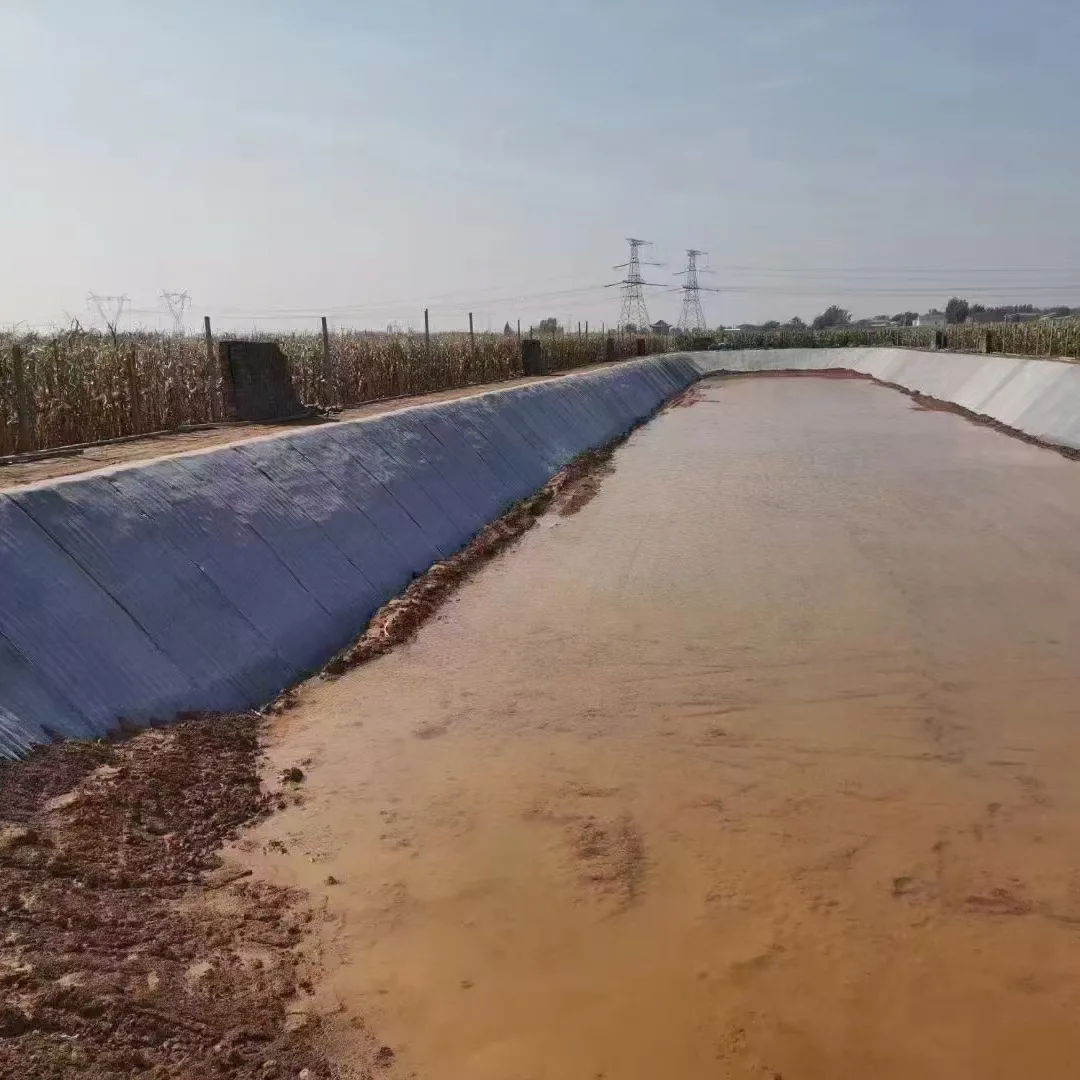 Fish Pond Concrete Blanket