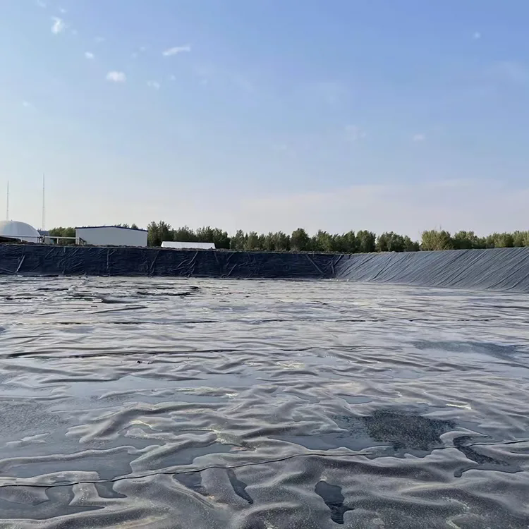 Stricter Environmental Regulations Push Standardized Impermeable Liner Solutions for Global Infrastructure