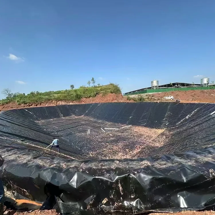 Artificial Lake Geomembrane