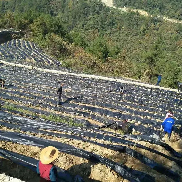 Herbal Plant Weed Barrier Fabric