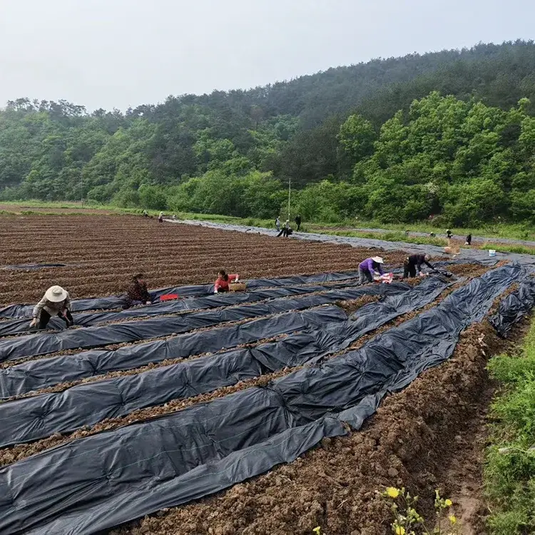 UV Stabilized Garden Weed Barrier Fabric