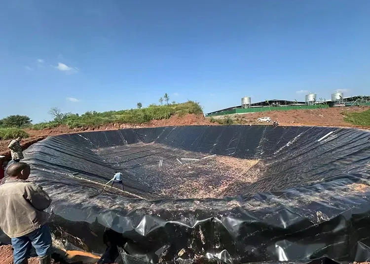 Biogas Digester Geomembrane