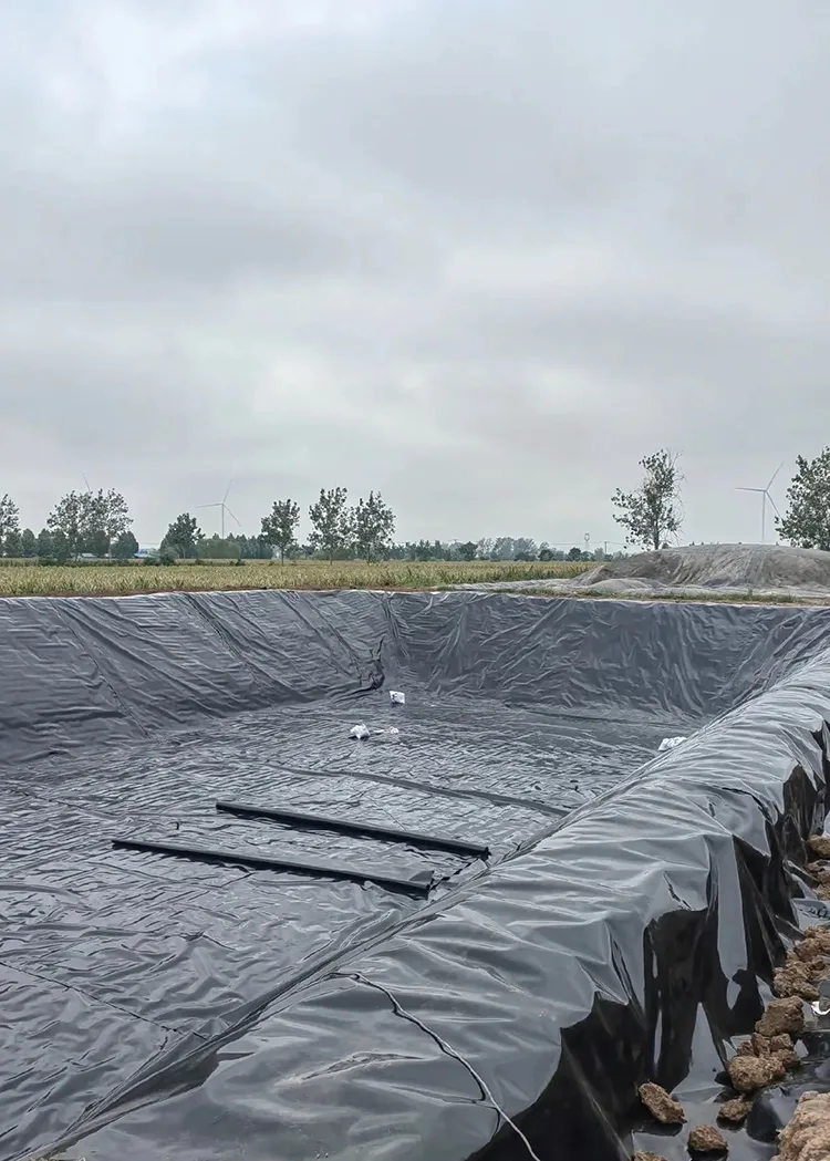 UV Resistant Fish Pond Geomembrane